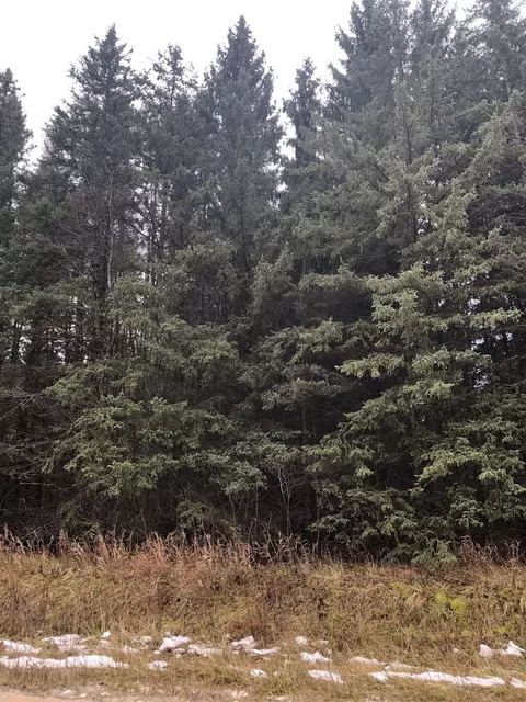 E 12 1/2, Manton, MI 49663 photo 6