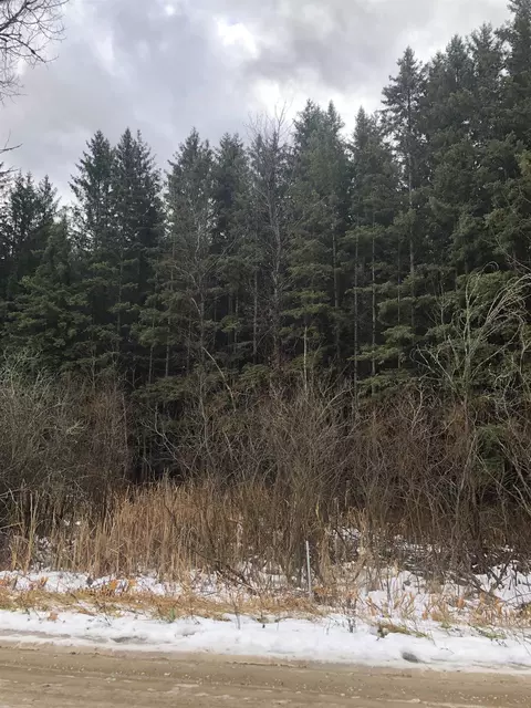 E 12 1/2, Manton, MI 49663 photo 2
