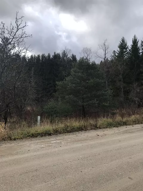 E 12 1/2, Manton, MI 49663