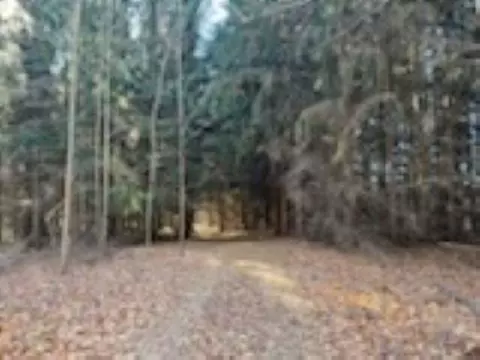000 Runway, Frankfort, MI 49635