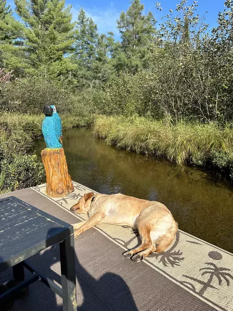 3467 River Park #LOT : 107, Grayling, MI 49738