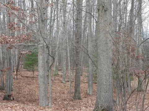 12 Findley Street, Roscommon, MI 48653