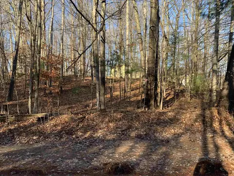 Birch View, Lake Ann, MI 48309