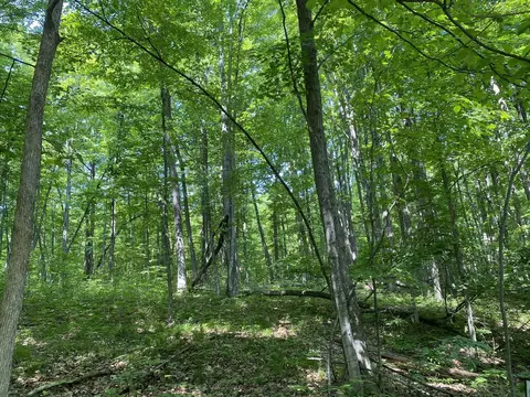 Lot 71 Birch View, Lake Ann, MI 49650