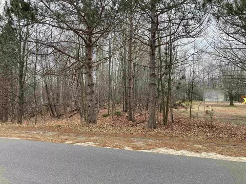 Spring Valley, Beulah, MI 49617 photo 16