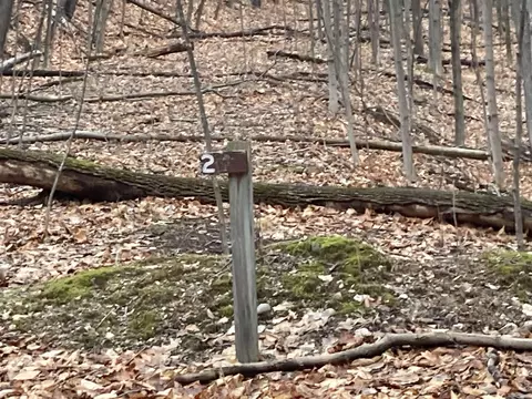 Spring Valley, Beulah, MI 49617 photo 18