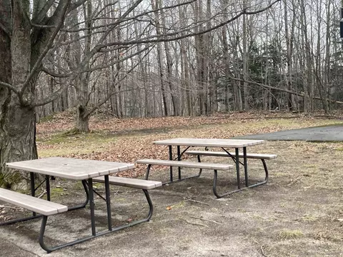 Spring Valley, Beulah, MI 49617 photo 22