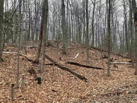Spring Valley, Beulah, MI 49617 photo 12