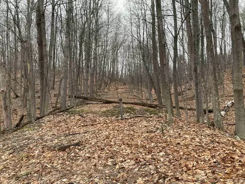 Spring Valley, Beulah, MI 49617 photo 15