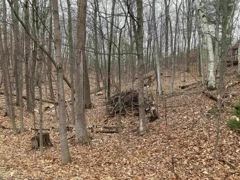 Spring Valley, Beulah, MI 49617 photo 14