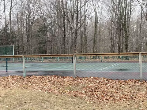 Spring Valley, Beulah, MI 49617 photo 25