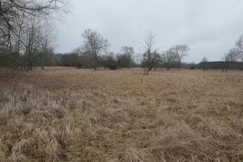 Tbd Pine, Elm Hall, MI 48889
