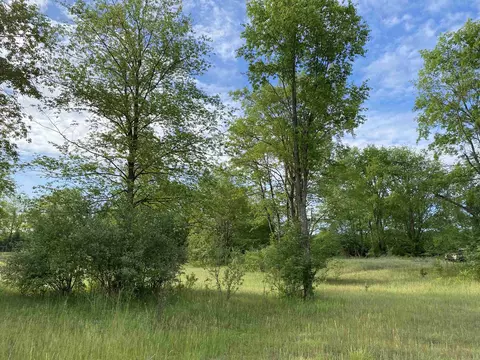 25 Deer Trak, Thompsonville, MI 49683