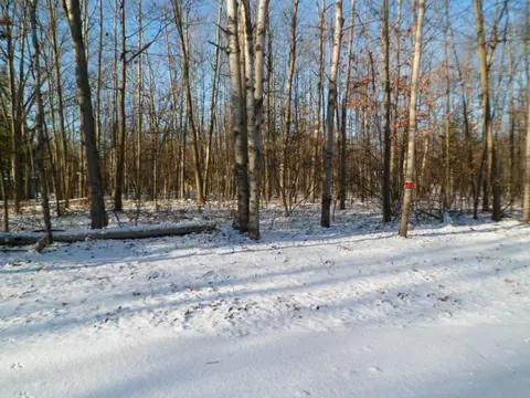 2009 Castle, Lake Isabella, MI 48893