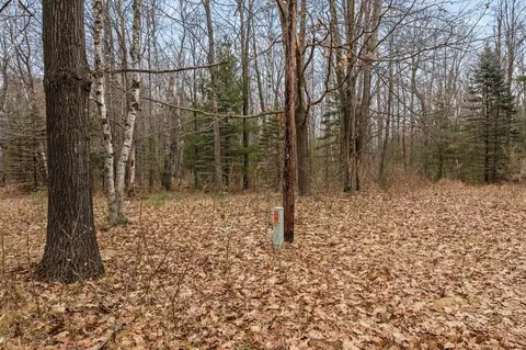 4615 E Sugar Riv, Alger, MI 48610 photo 8