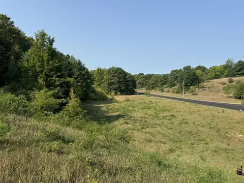 9011 Walling, Alden, MI 49612