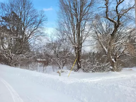 36 Davis Avenue, Harrietta, MI 49638