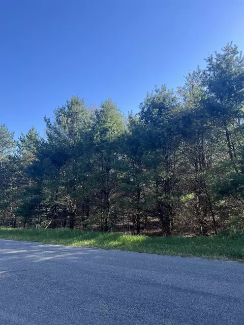orchard hill, Bellaire, MI 49615