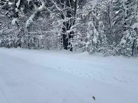 0 Douglas, Interlochen, MI 49643 photo 6