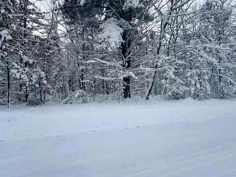 0 Douglas, Interlochen, MI 49643 photo 3