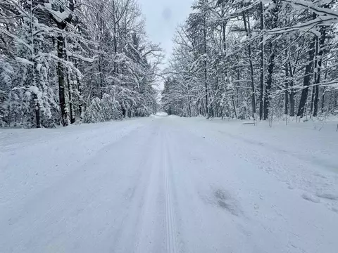 0 Douglas, Interlochen, MI 49643 photo 5