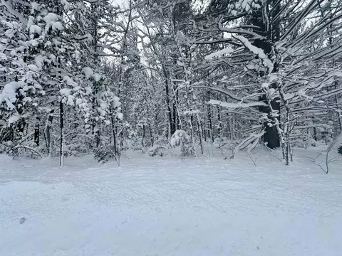 0 Douglas, Interlochen, MI 49643 photo 2