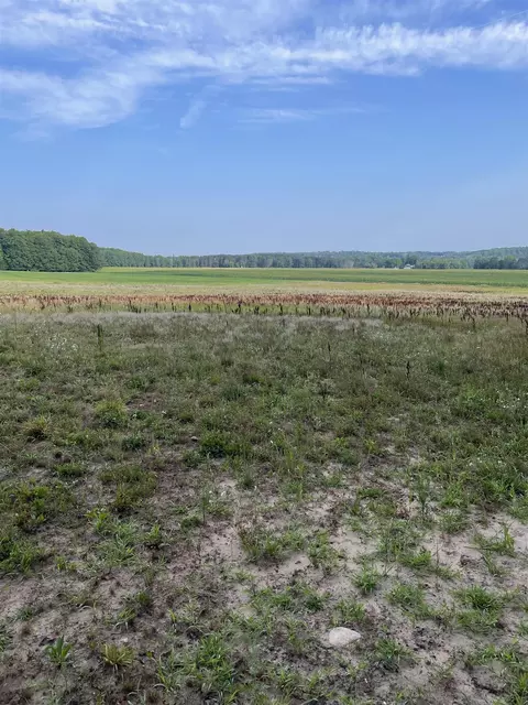 000 3 Mile, Reed City, MI 49677