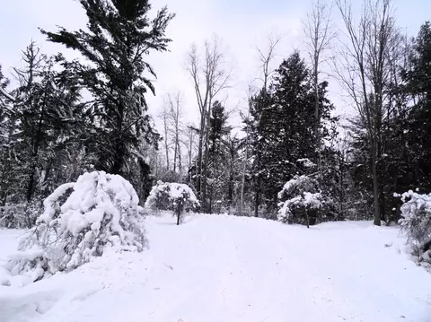 Other - 3646 Townline, Omer, MI 48749 photo 23 of 27