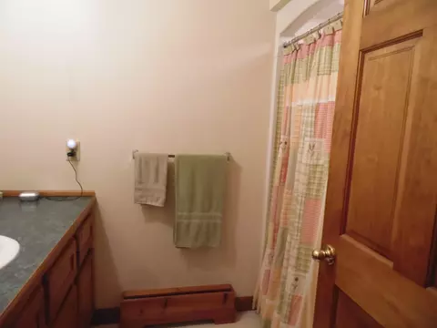 Bath - 3646 Townline, Omer, MI 48749 photo 10 of 11