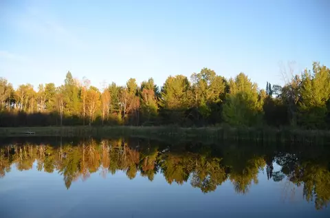 View/Area - 3646 Townline, Omer, MI 48749 photo 9 of 9
