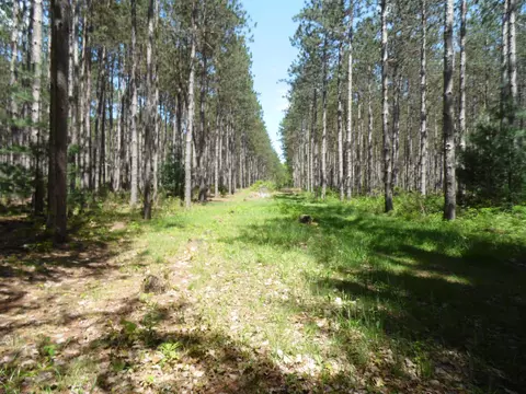 Other - 3646 Townline, Omer, MI 48749 photo 26 of 27