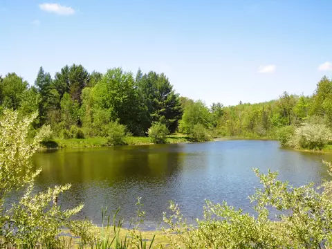 View/Area - 3646 Townline, Omer, MI 48749 photo 1 of 9