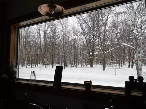 Other - 3646 Townline, Omer, MI 48749 photo 3 of 27
