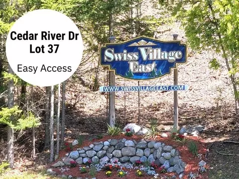 37 Cedar Riv, Bellaire, MI 49615