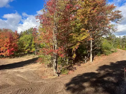 Parcel F Trumbull, Maple City, MI 49664