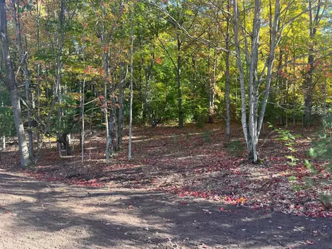 Parcel G Trumbull, Maple City, MI 49664