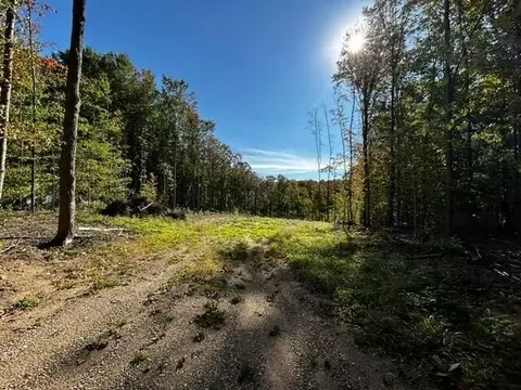 000 Antioch, Mesick, MI 49668