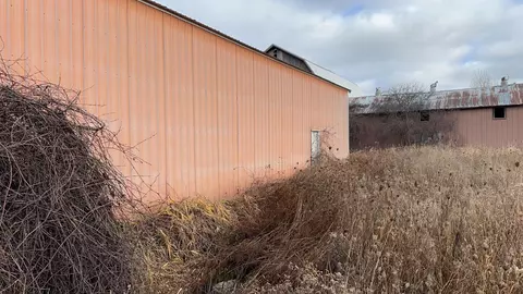 5000 E Blanchard, Shepherd, MI 48883 photo 3