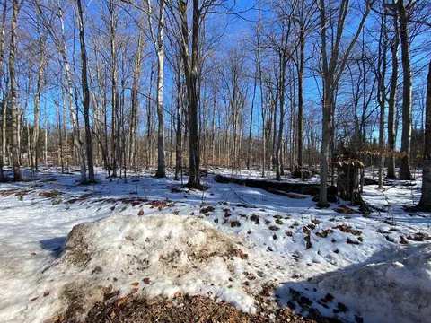 e sugar maple LOT : 90, Cedar, MI 49621 photo 3