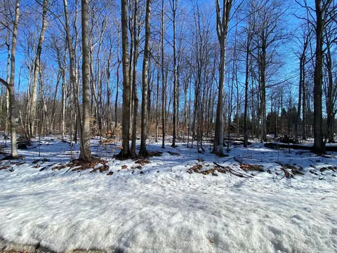 e sugar maple LOT : 90, Cedar, MI 49621