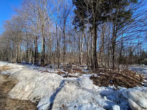 e sugar maple LOT : 90, Cedar, MI 49621 photo 4