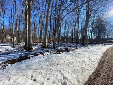 e sugar maple LOT : 90, Cedar, MI 49621 photo 2