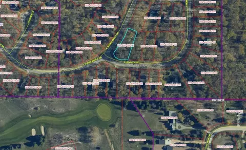e sugar maple LOT : 90, Cedar, MI 49621 photo 6