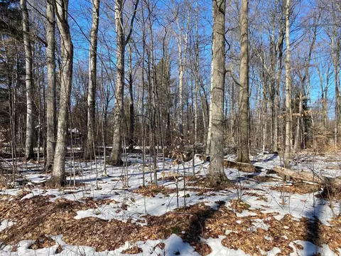 e sugar maple LOT : 90, Cedar, MI 49621 photo 5