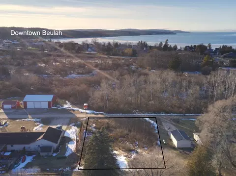 Buckeye, Beulah, MI 49617 photo 6