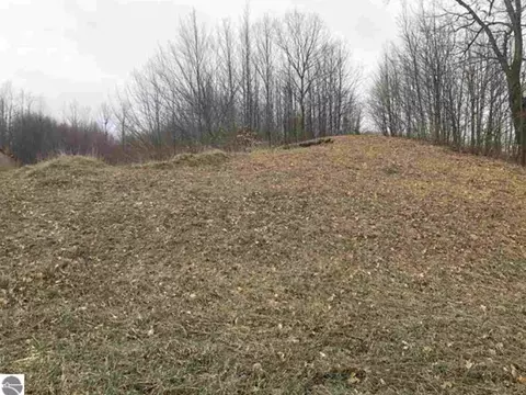7668 Horton Crk #LOT : 22, Grawn, MI 49637