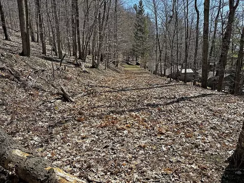 Private Road On Spring, Beulah, MI 49617 photo 5