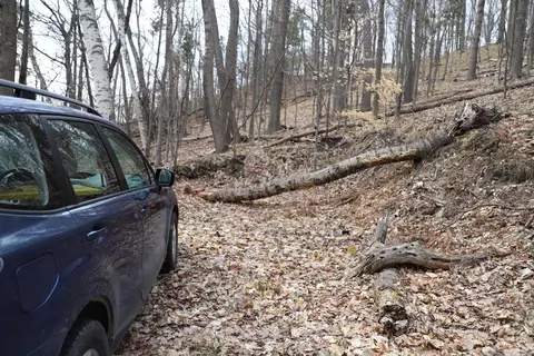 Private Road On Spring, Beulah, MI 49617 photo 6