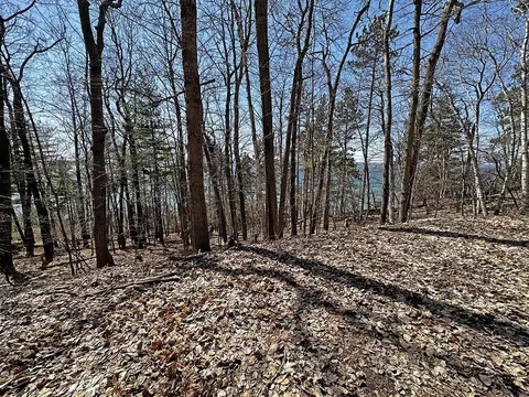 Private Road On Spring, Beulah, MI 49617 photo 2