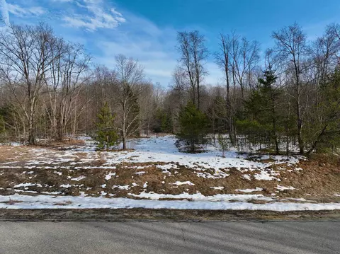 Lot 15 Spring Valley, Cadillac, MI 49601